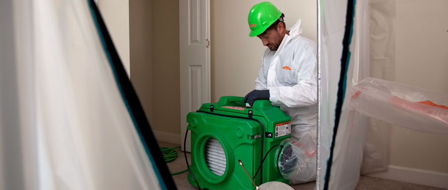 Tigard, OR mold cleanup